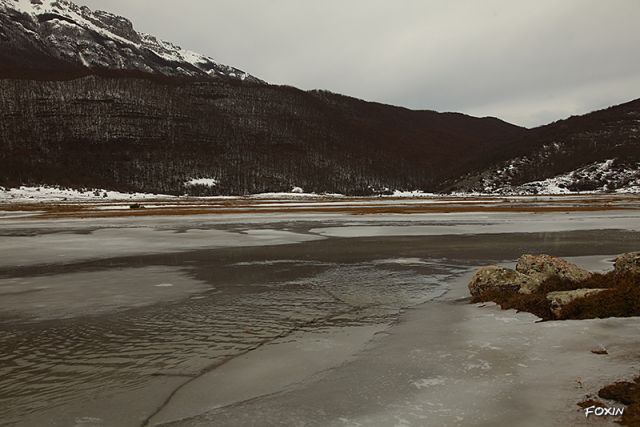 album/077 Tundra gelata.JPG